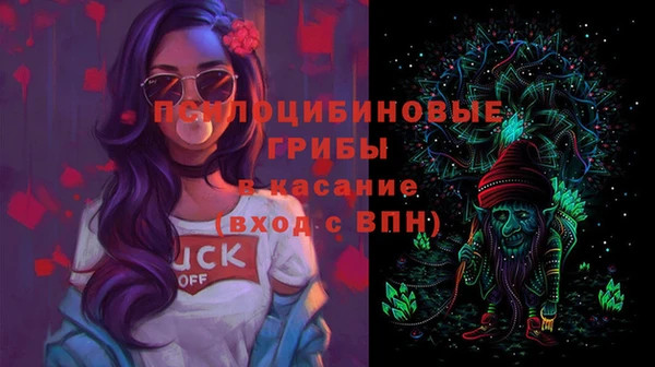 шишки Вязники