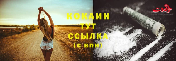 шишки Вязники